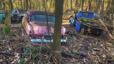 Verlassene, rostige Oldtimer auf einem Waldfriedhof.